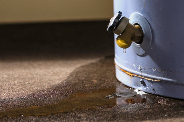 Best Carpet water damage restoration  in Sacred Heart University, CT