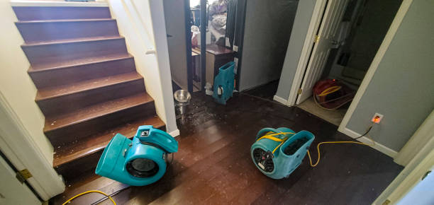 Sewage cleanup and water damage restoration in Sacred Heart University, CT