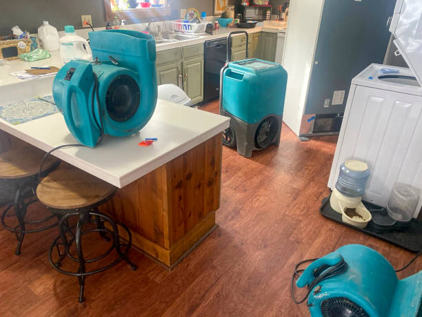 Best Mold removal after water damage  in Sacred Heart University, CT