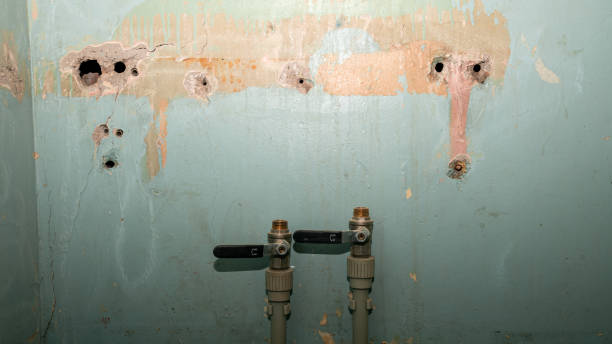 Best Water damage contractors near me  in Sacred Heart University, CT