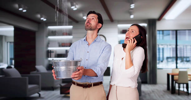 Best Sewage cleanup and water damage restoration  in Sacred Heart University, CT