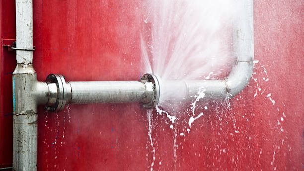 Best Carpet water damage restoration  in Sacred Heart University, CT