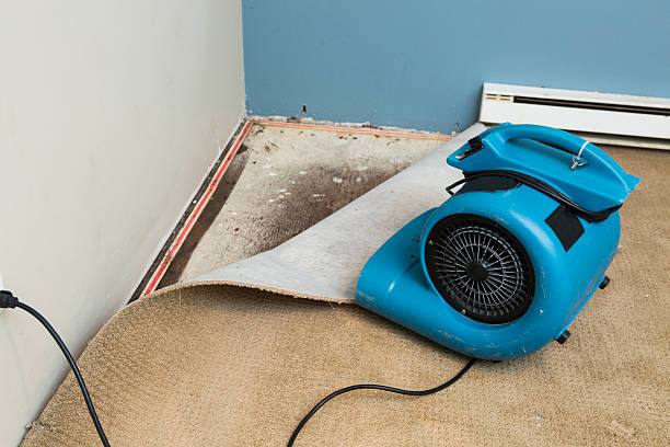 Best Fire Damage Restoration  in Sacred Heart University, CT